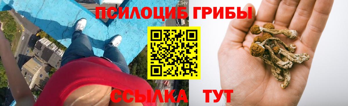 Псилоцибиновые грибы прущие грибы Скопин